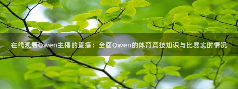 在线观看Qwen主播的直播：全面Qwen的体育竞技知识与比赛实时情况