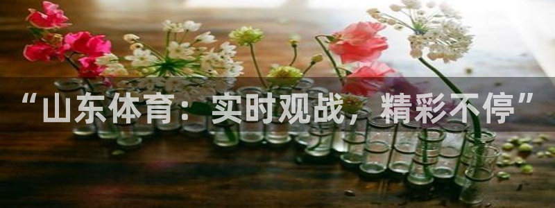 “山东体育：实时观战，精彩不停”