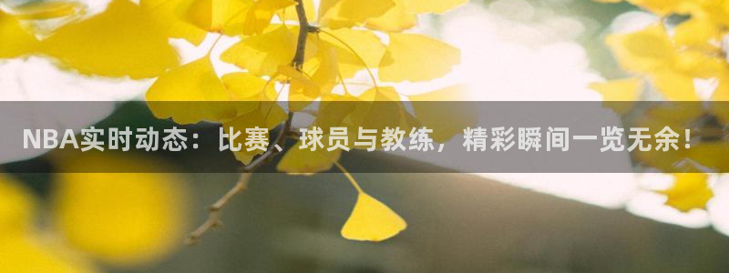 NBA实时动态：比赛、球员与教练，精彩瞬间一览无余！