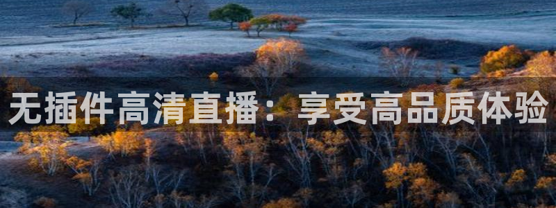 无插件高清直播：享受高品质体验