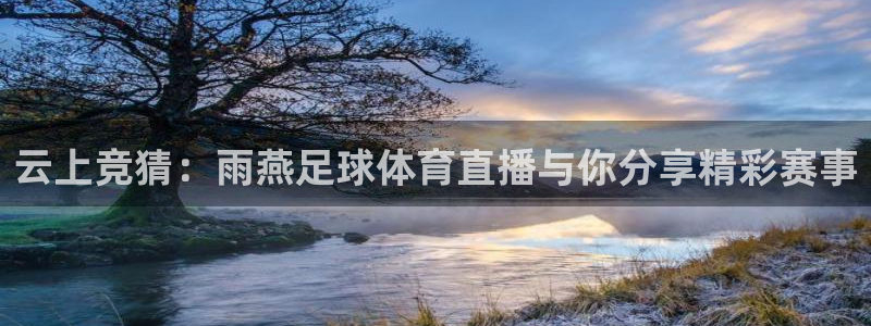云上竞猜：雨燕足球体育直播与你分享精彩赛事