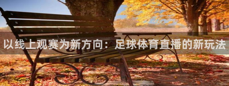 以线上观赛为新方向：足球体育直播的新玩法