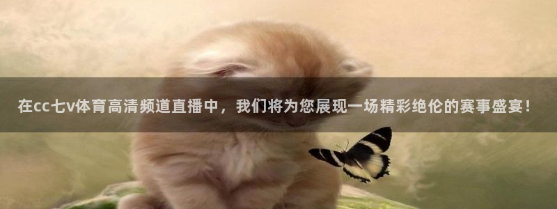 在cc七v体育高清频道直播中，我们将为您展现一场精彩绝伦的赛事盛宴！