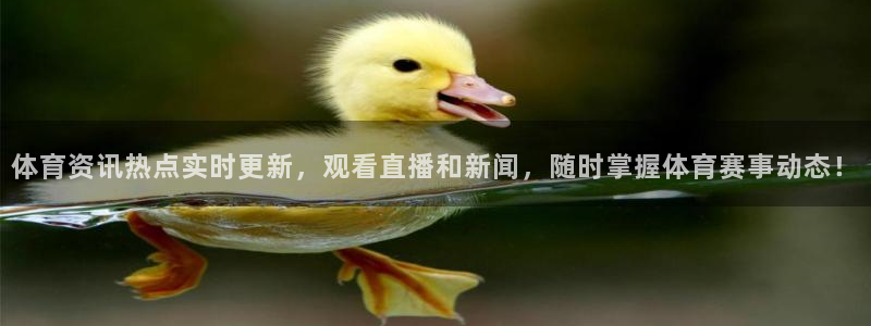 体育资讯热点实时更新，观看直播和新闻，随时掌握体育赛事动态！
