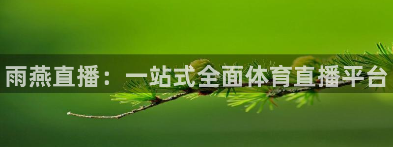 雨燕直播：一站式全面体育直播平台
