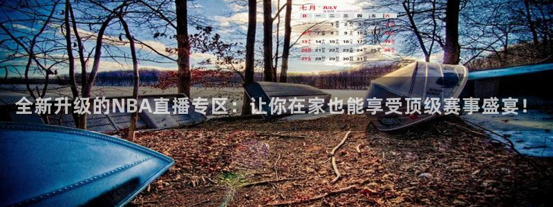 全新升级的NBA直播专区：让你在家也能享受顶级赛事盛宴！