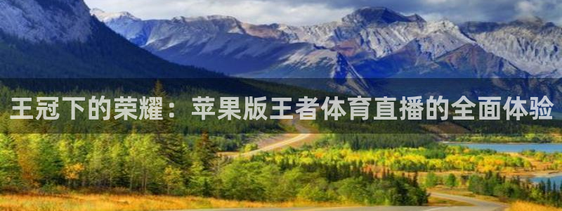 王冠下的荣耀：苹果版王者体育直播的全面体验