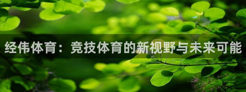 经伟体育：竞技体育的新视野与未来可能