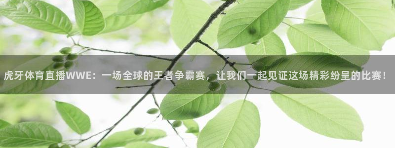 虎牙体育直播WWE：一场全球的王者争霸赛，让我们一起见证这场精彩纷呈的比赛！
