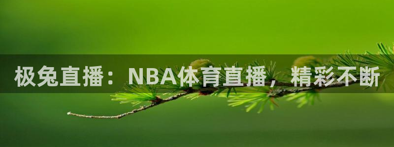 极兔直播：NBA体育直播，精彩不断