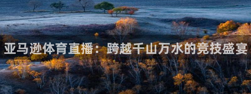 亚马逊体育直播：跨越千山万水的竞技盛宴