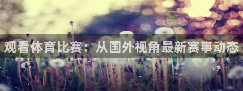 观看体育比赛：从国外视角最新赛事动态