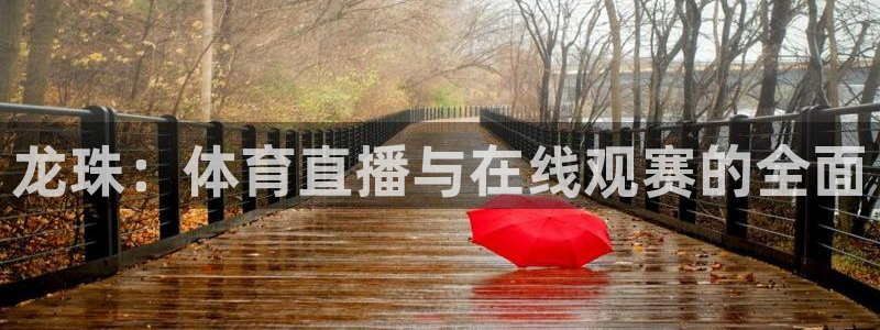 龙珠：体育直播与在线观赛的全面