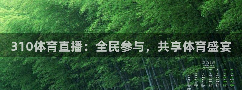 310体育直播：全民参与，共享体育盛宴