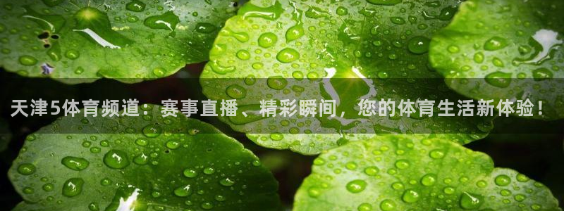 天津5体育频道：赛事直播、精彩瞬间，您的体育生活新体验！
