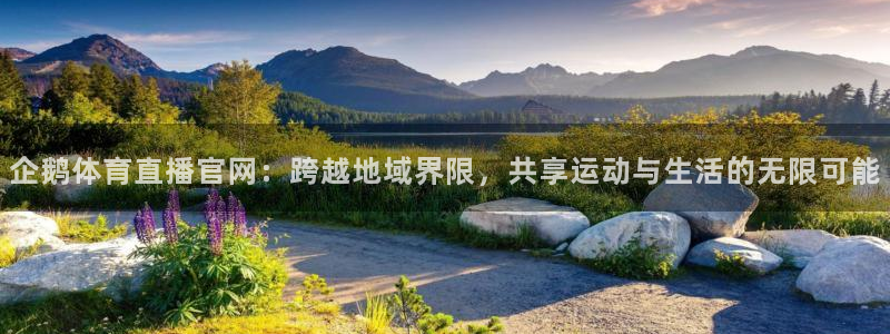 企鹅体育直播官网：跨越地域界限，共享运动与生活的无限可能