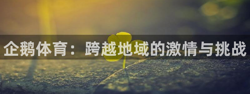 企鹅体育：跨越地域的激情与挑战