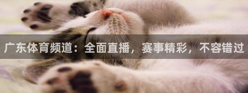 广东体育频道：全面直播，赛事精彩，不容错过