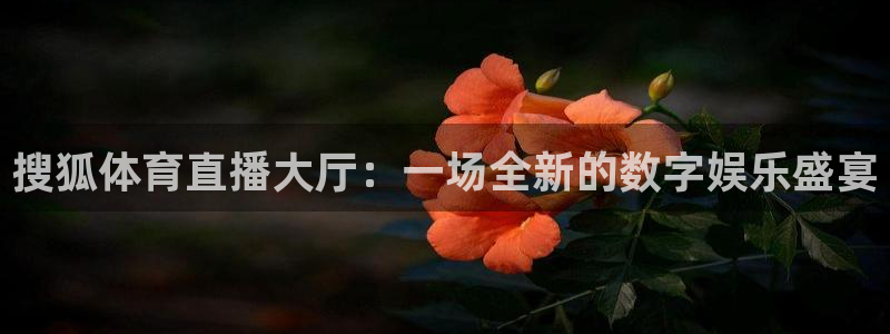 搜狐体育直播大厅：一场全新的数字娱乐盛宴