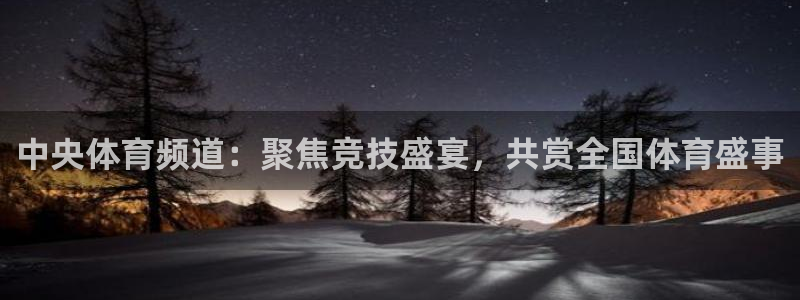 中央体育频道：聚焦竞技盛宴，共赏全国体育盛事