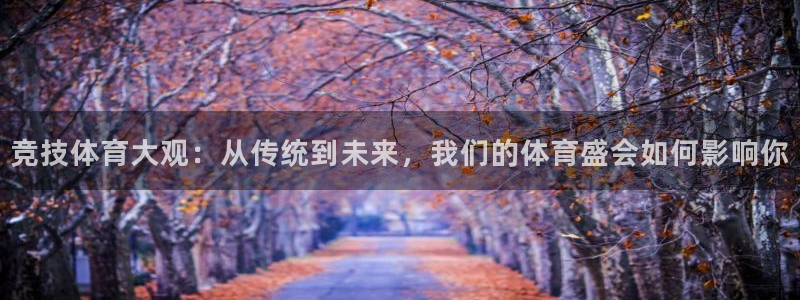 竞技体育大观：从传统到未来，我们的体育盛会如何影响你
