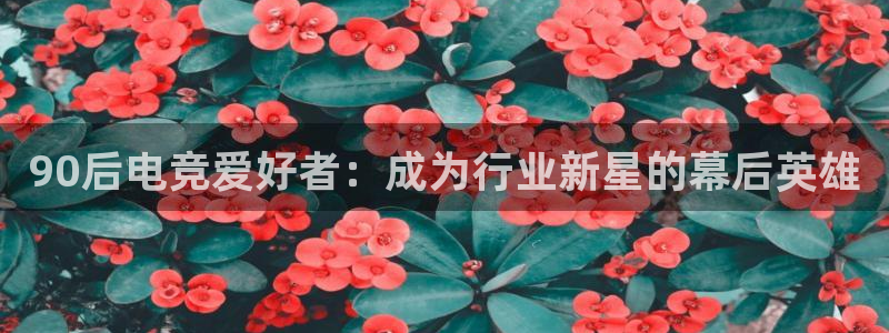 90后电竞爱好者：成为行业新星的幕后英雄