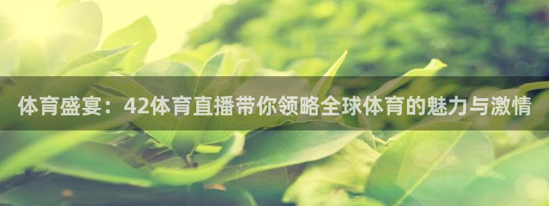 体育盛宴：42体育直播带你领略全球体育的魅力与激情