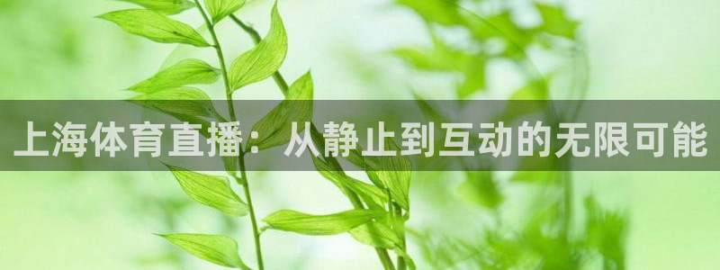 上海体育直播：从静止到互动的无限可能