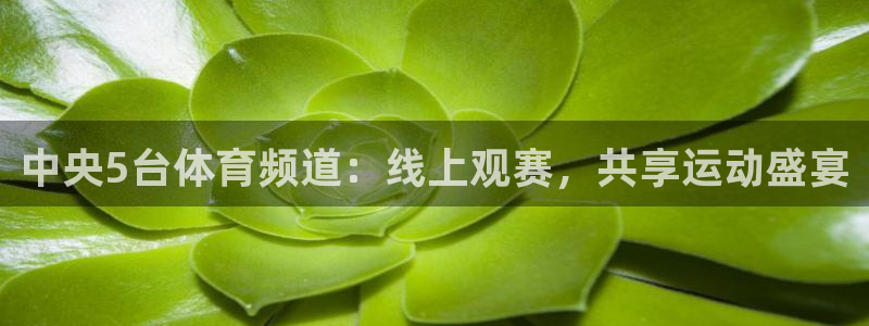 中央5台体育频道：线上观赛，共享运动盛宴