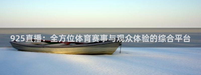 925直播：全方位体育赛事与观众体验的综合平台