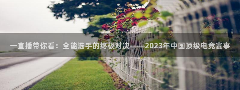 一直播带你看：全能选手的终极对决——2023年中国顶级电竞赛事