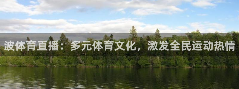 波体育直播：多元体育文化，激发全民运动热情