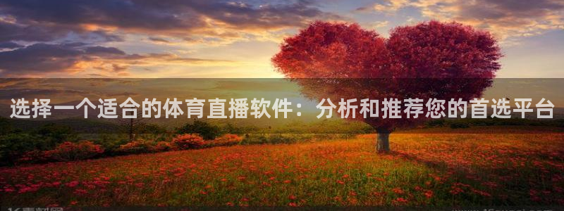 选择一个适合的体育直播软件：分析和推荐您的首选平台