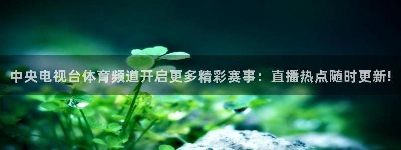 中央电视台体育频道开启更多精彩赛事：直播热点随时更新!