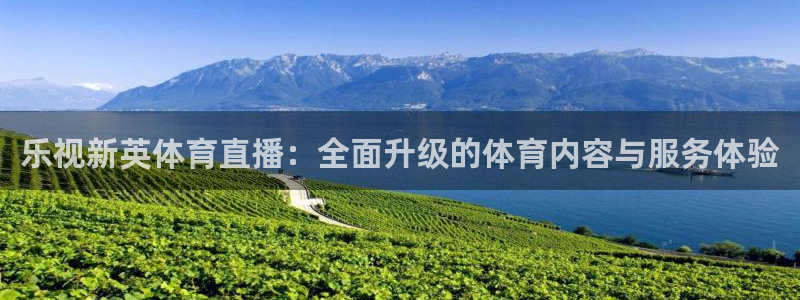 乐视新英体育直播：全面升级的体育内容与服务体验