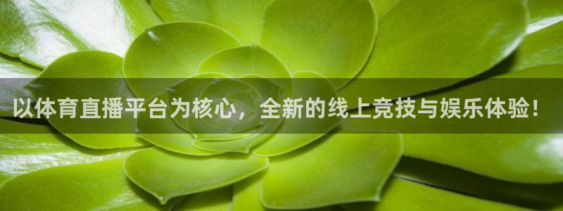 以体育直播平台为核心，全新的线上竞技与娱乐体验！