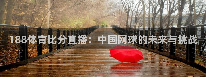 188体育比分直播：中国网球的未来与挑战