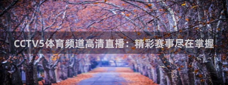 CCTV5体育频道高清直播：精彩赛事尽在掌握
