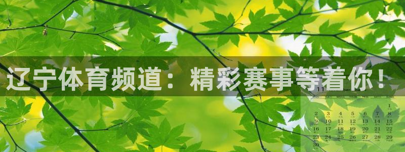 辽宁体育频道：精彩赛事等着你！