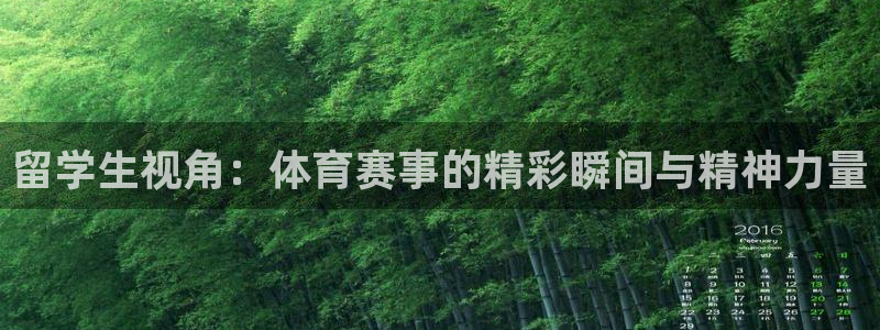 留学生视角：体育赛事的精彩瞬间与精神力量
