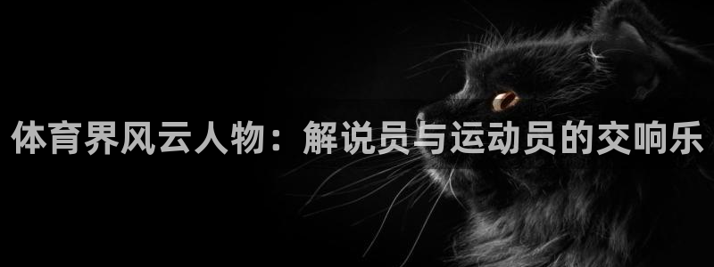 体育界风云人物：解说员与运动员的交响乐