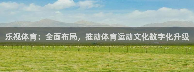 乐视体育：全面布局，推动体育运动文化数字化升级