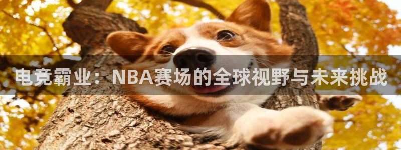 电竞霸业：NBA赛场的全球视野与未来挑战