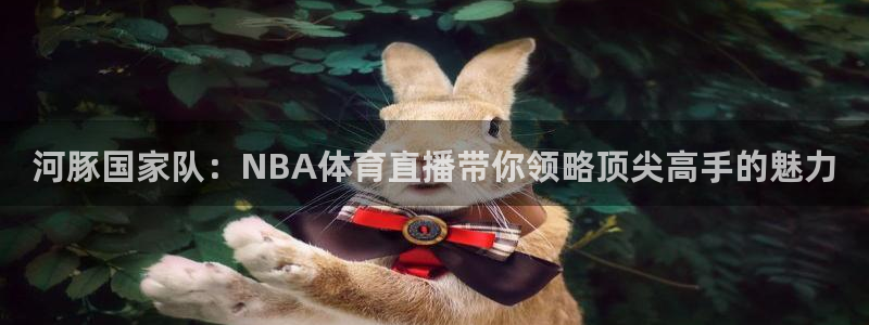 河豚国家队：NBA体育直播带你领略顶尖高手的魅力
