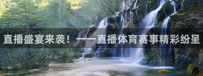直播盛宴来袭！一一直播体育赛事精彩纷呈